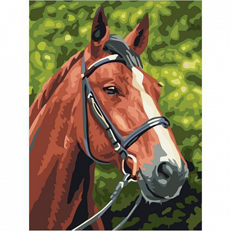 Картина по номерам Picasso Лошадь №1 PC3040009