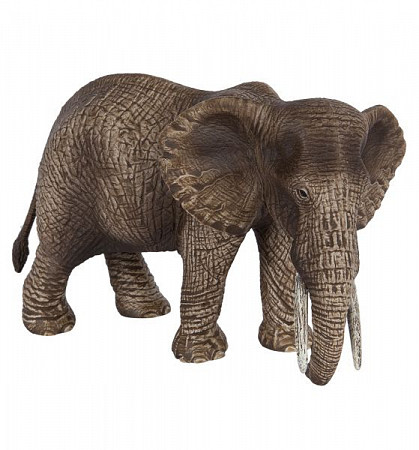 Фигурка животного Schleich Африканская слониха 14761