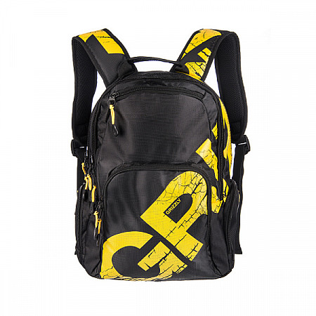 Рюкзак для мальчика GRIZZLY RU-423-1 yellow